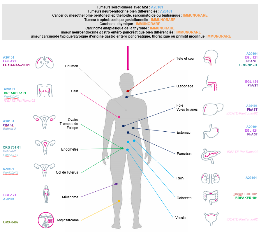 Newsletter Novembre 2025