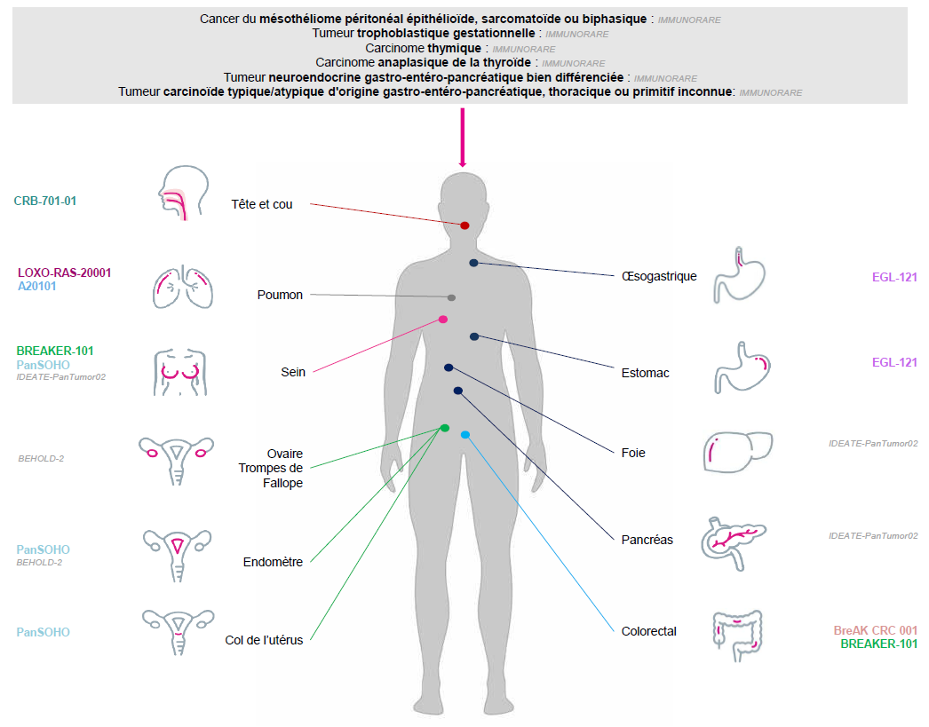 Newsletter CIPP Avril 2026