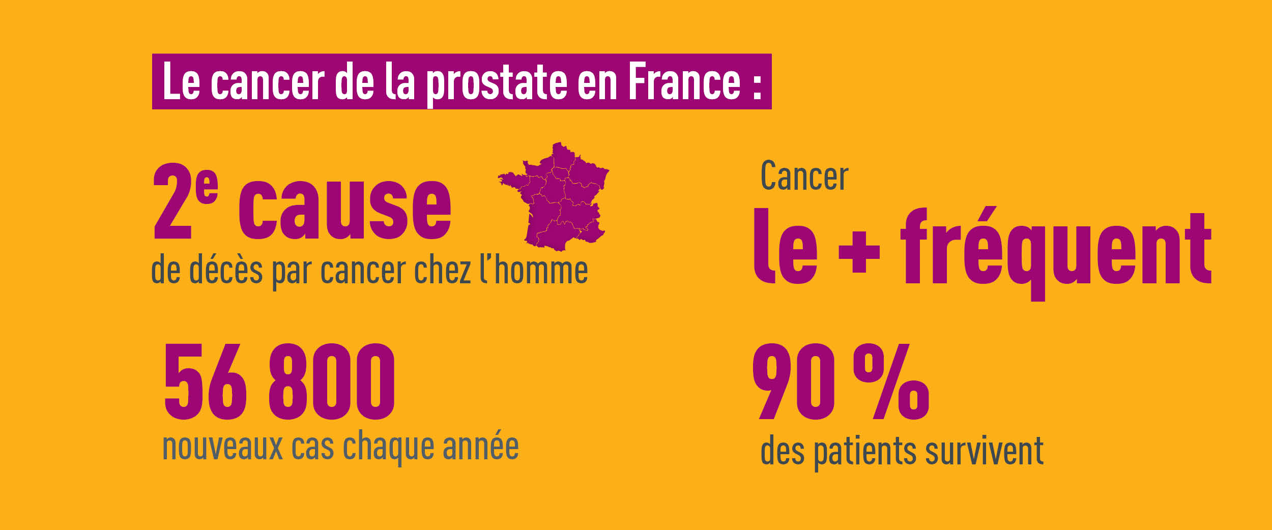 cancer de la prostate ICM