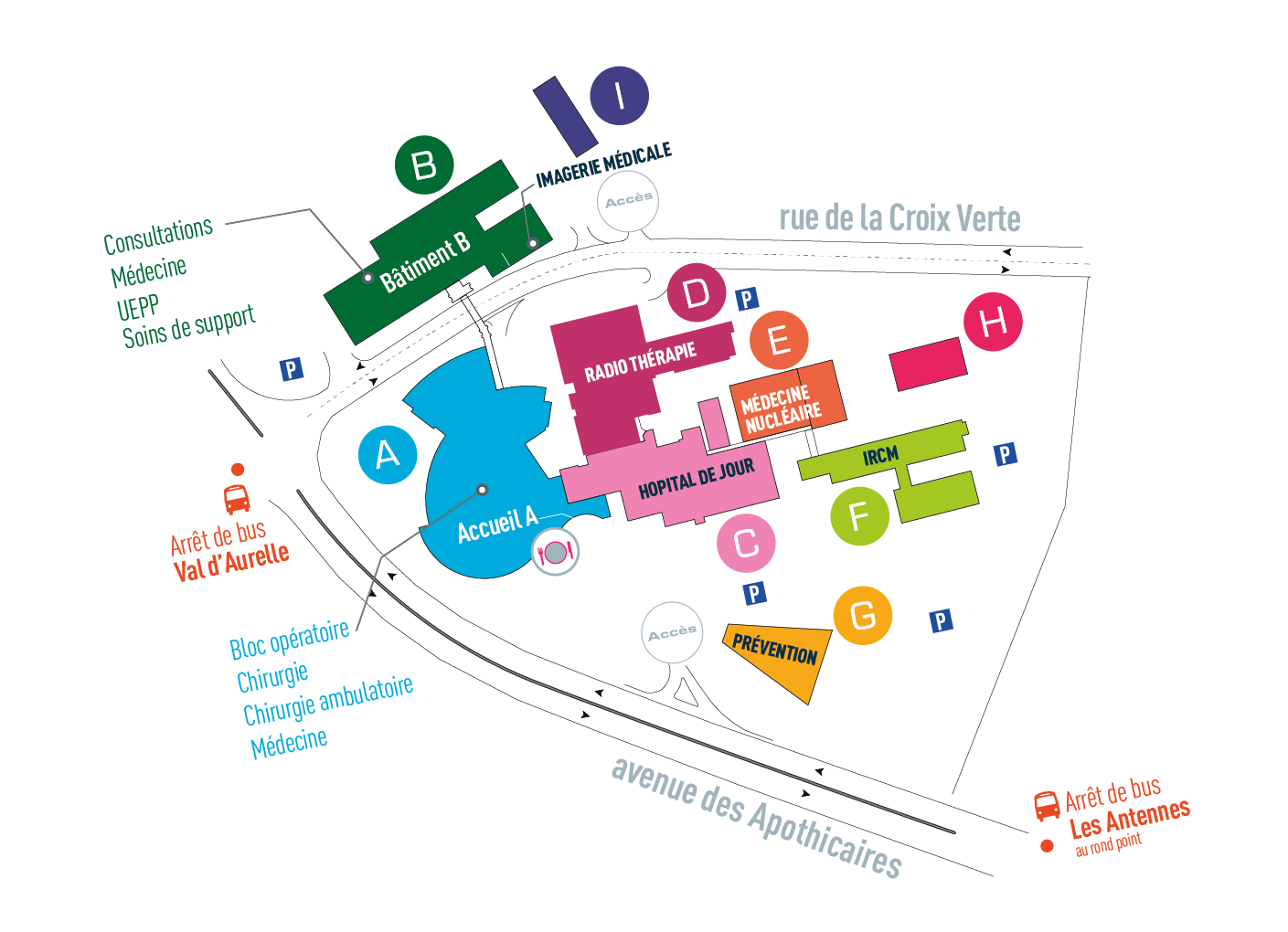 Plan ICM 2022