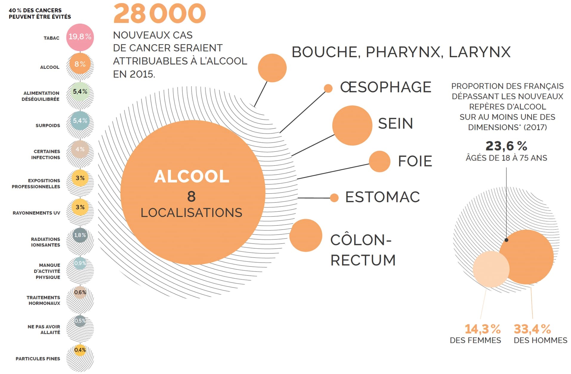 alcool effets