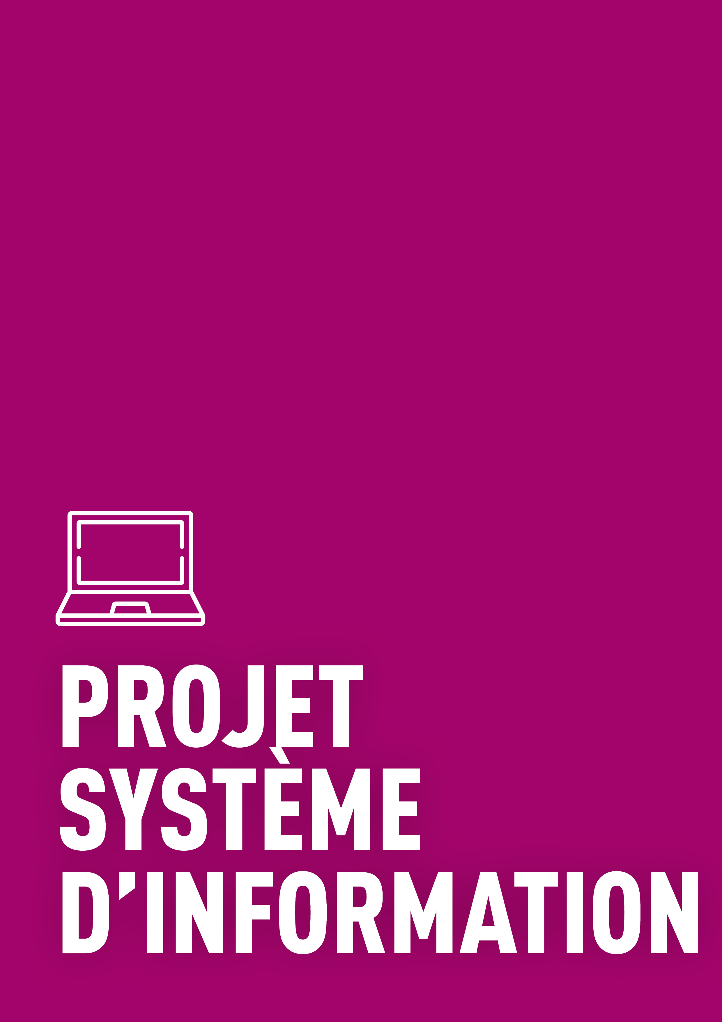 Le projet système d’information