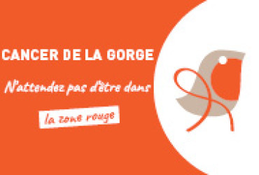 rouge gorge à l'ICM