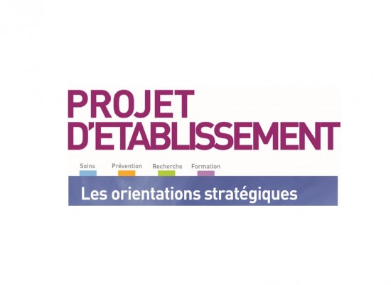 Projet d'établissement de l'ICM