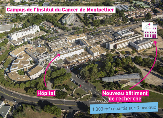 Centre de Transfert de l’Innovation en Oncologie 