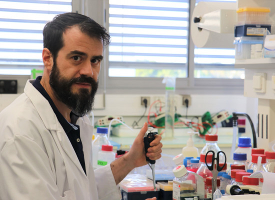 Une avancée importante contre la récidive dans certains cancers du poumon