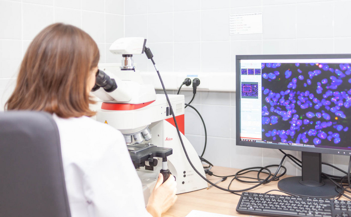 anatomo-pathologie à l'ICM