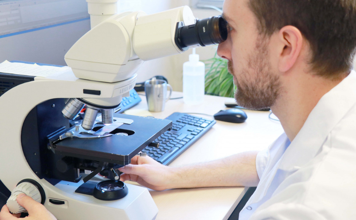 anatomo-pathologie à l'ICM