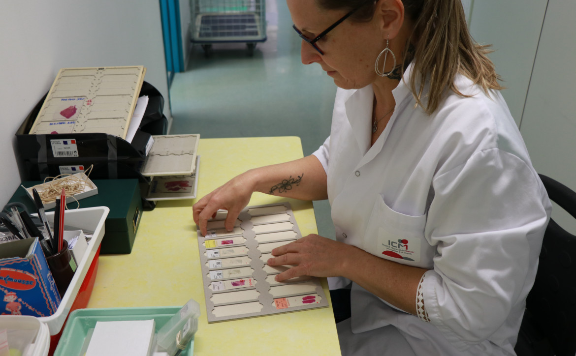 anatomo-pathologie à l'ICM