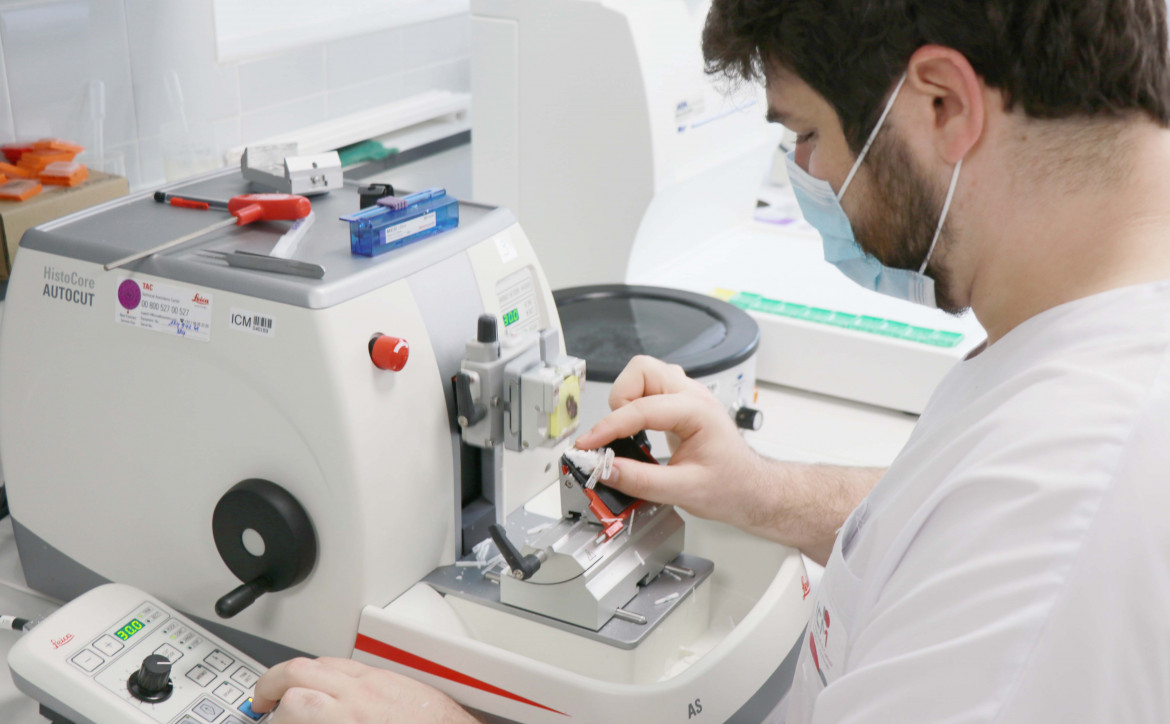 anatomo-pathologie à l'ICM