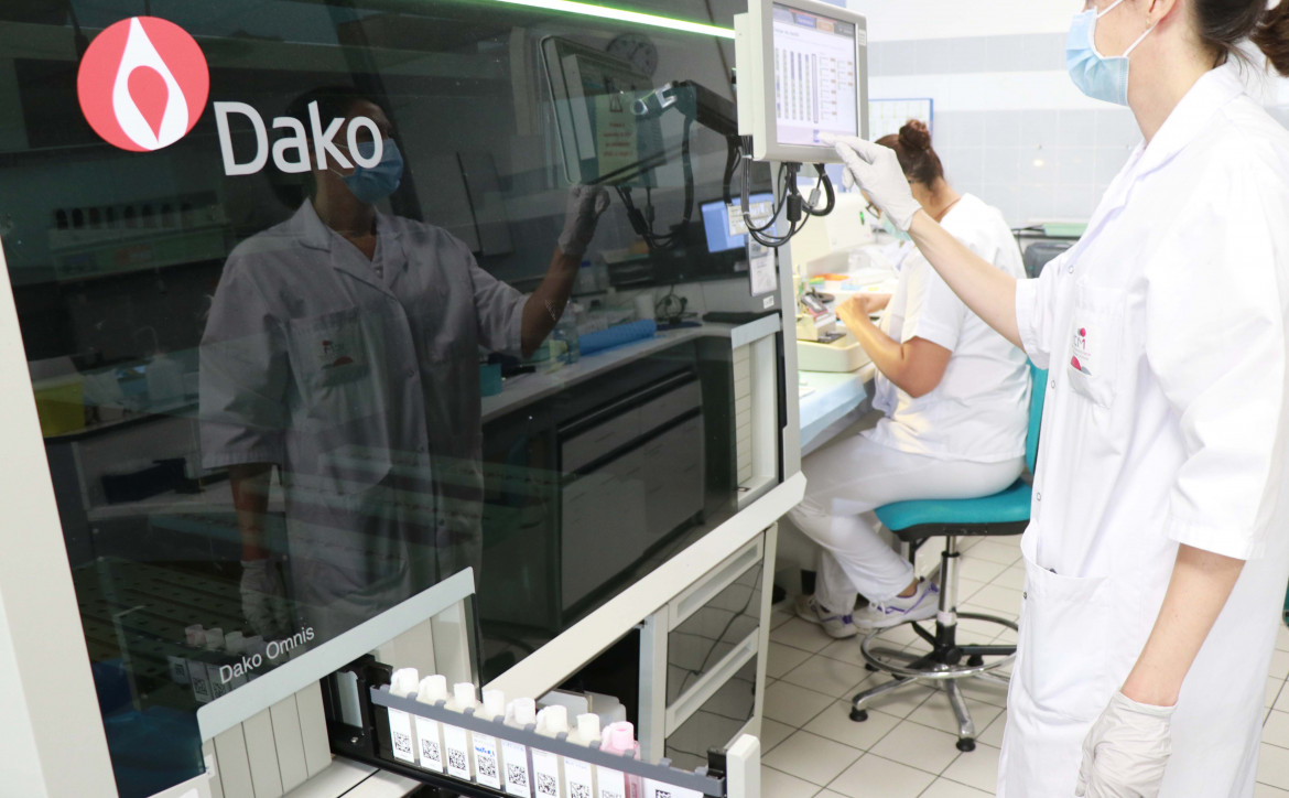 anatomo-pathologie à l'ICM