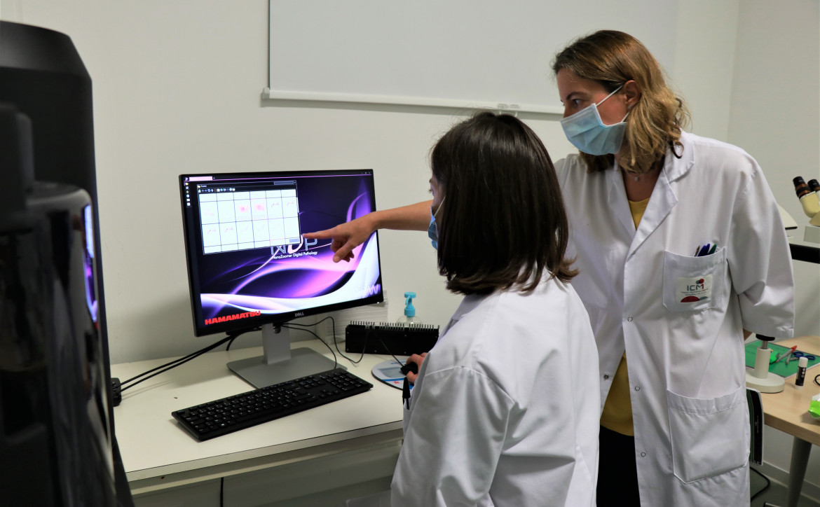 anatomo-pathologie à l'ICM