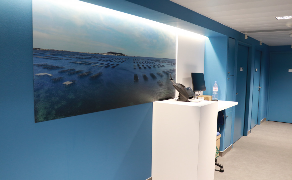 L'espace Etang de Thau