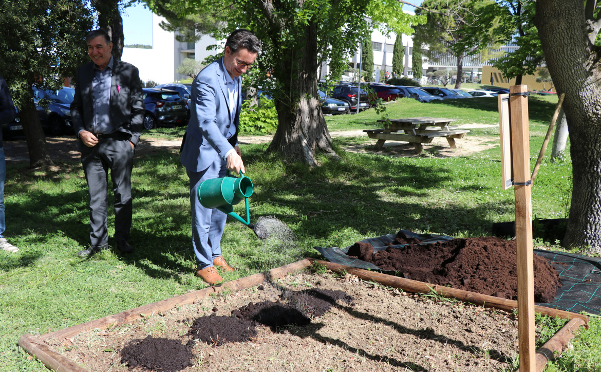 ilots de biodiversité