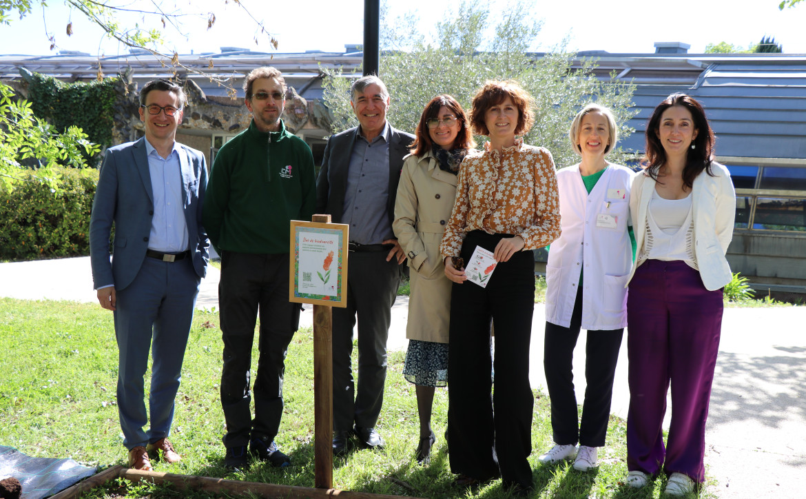 ilots de biodiversité